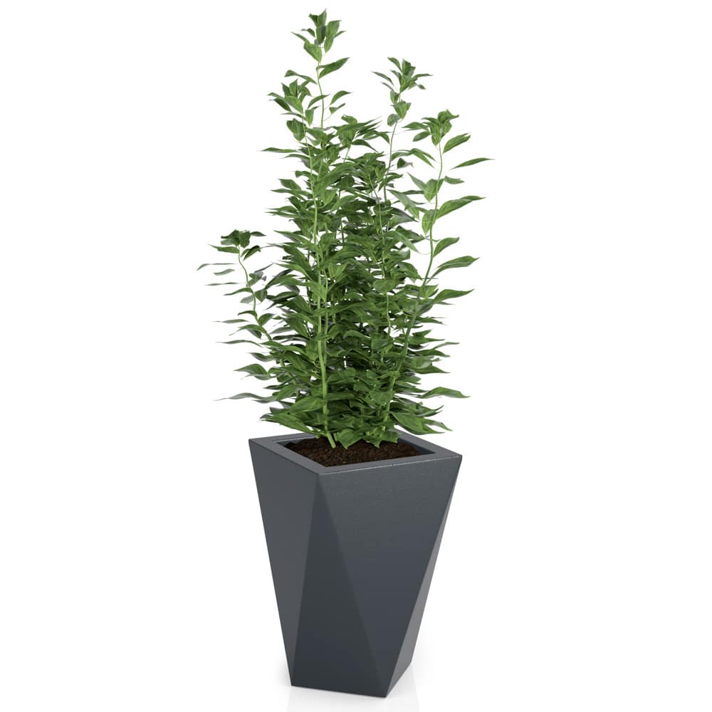 Monumo Vaso Outdoor Indoor Planter Anthracite