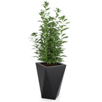 Monumo Vaso Outdoor Indoor Planter Black