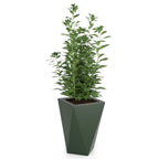 Monumo Vaso Outdoor Indoor Planter Bottle Green