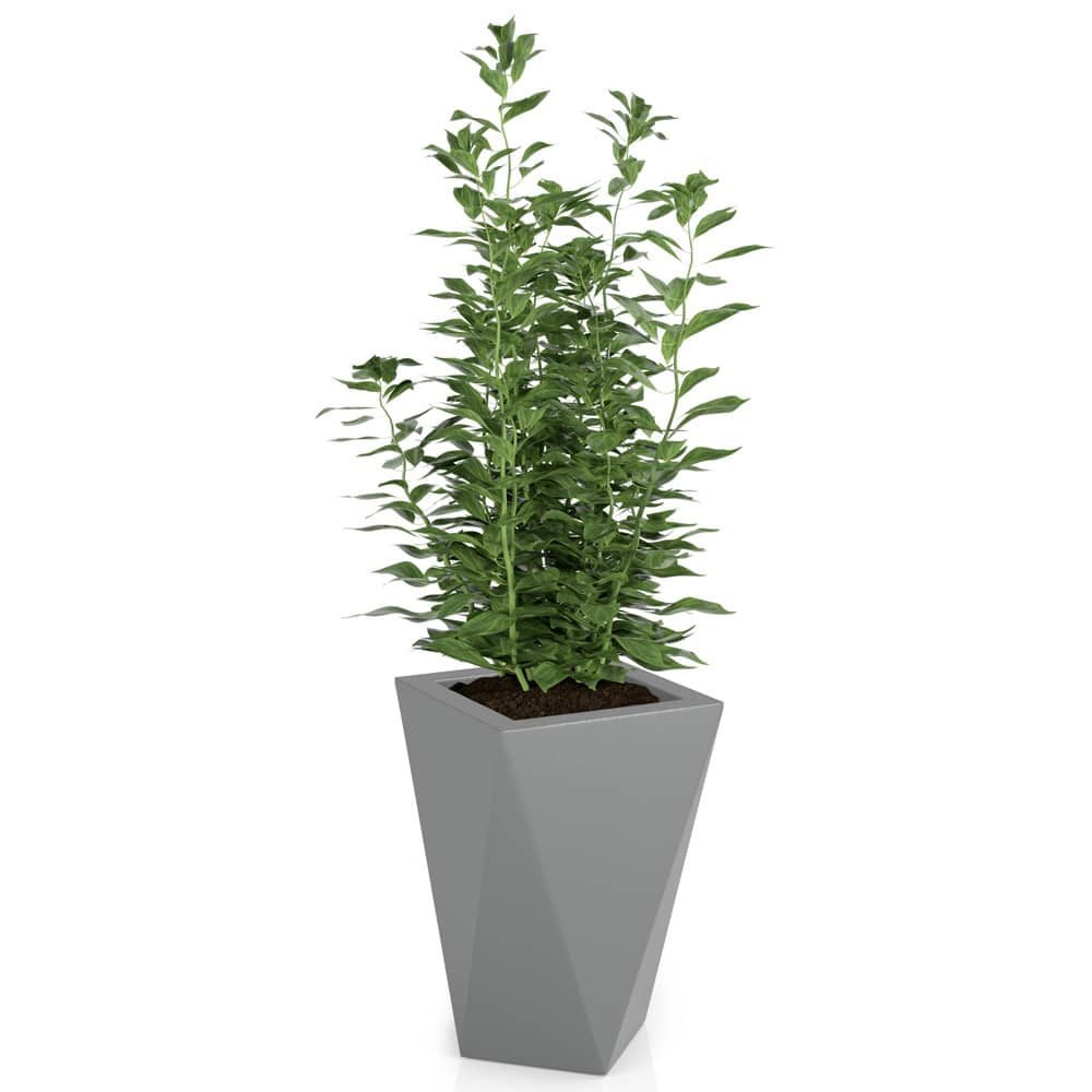 Monumo Vaso Outdoor Indoor Planter Grey