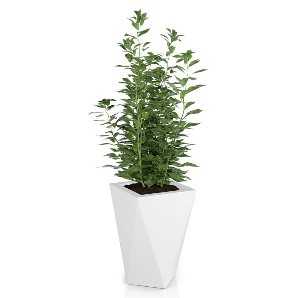Monumo Vaso Outdoor Indoor Planter White